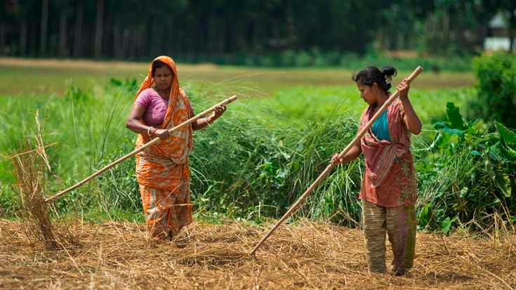Pairing Agriculture with Technology in Bangladesh